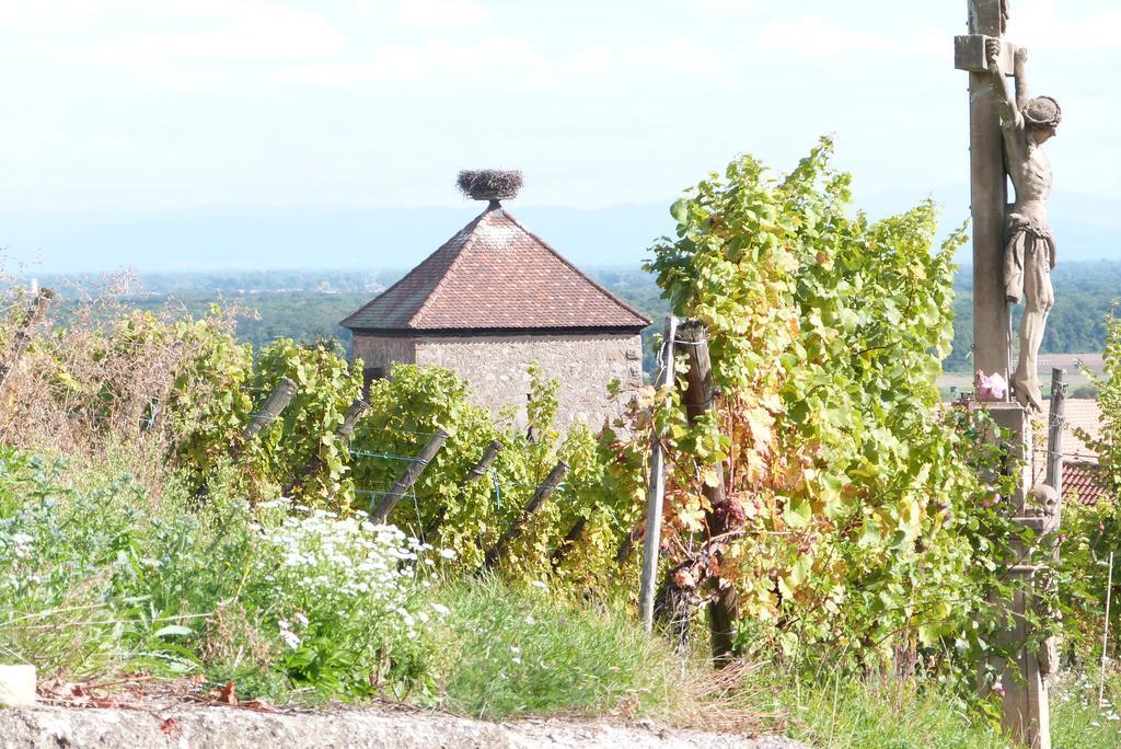 Le P'tit Coin De Chez Nous Dambach-la-Ville